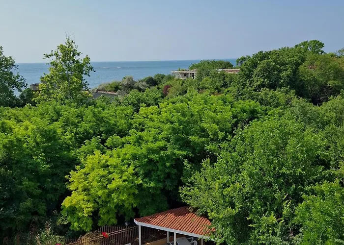 Sineva Appartement *